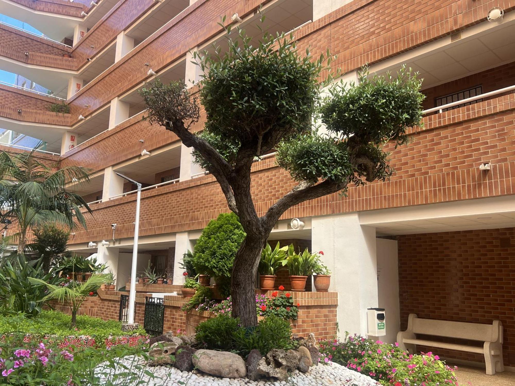 Apartamentos Marina Park Оропеса дел Мар Екстериор снимка